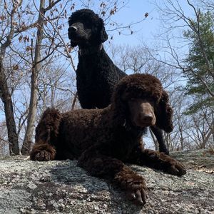 Meet your Posher, Heather